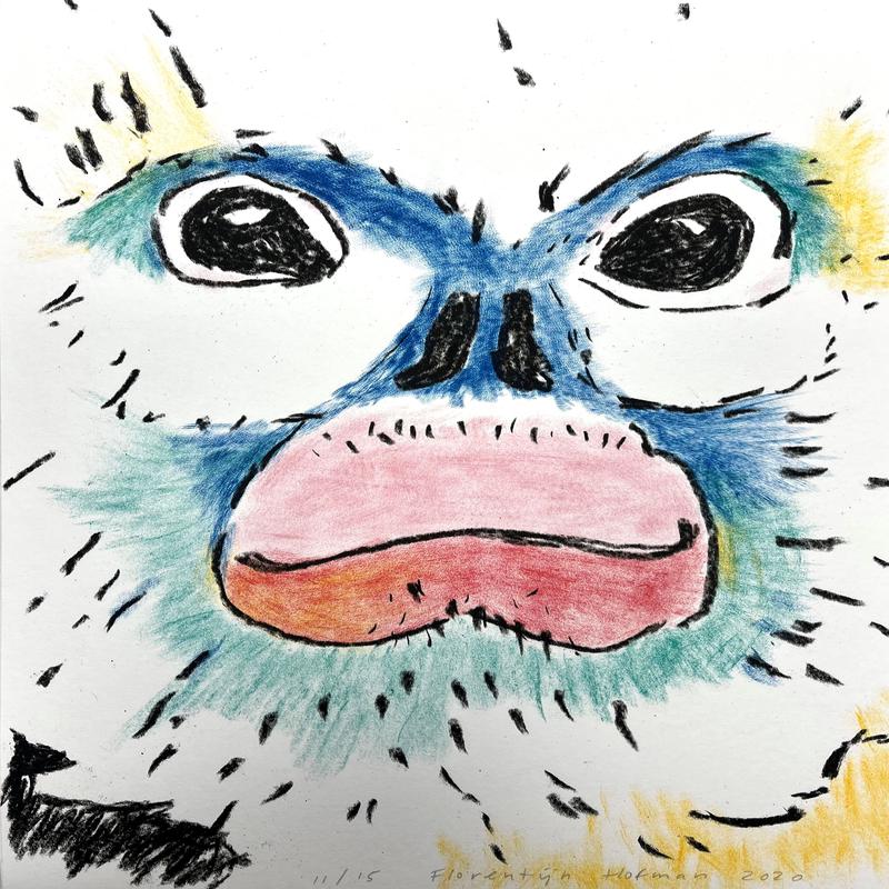 Snubnose Monkey