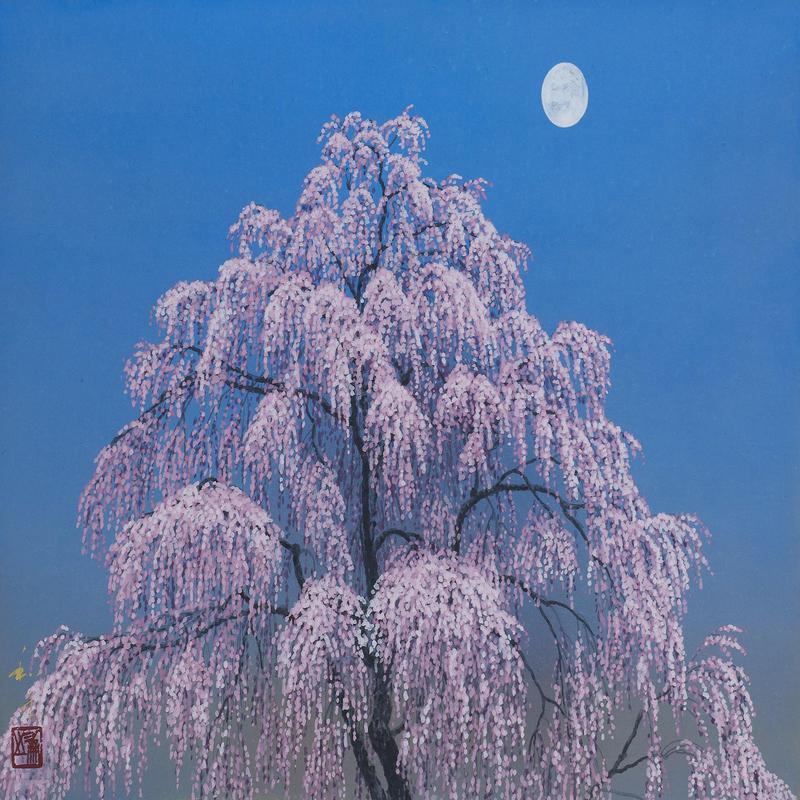 Weeping Cherry Tree